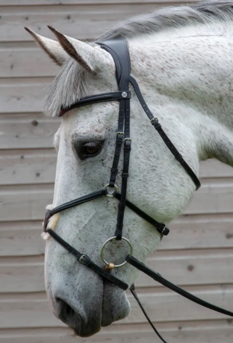 Henry James Mexican Grackle Bridle with Comfort 3D Air headpiece - Black-1